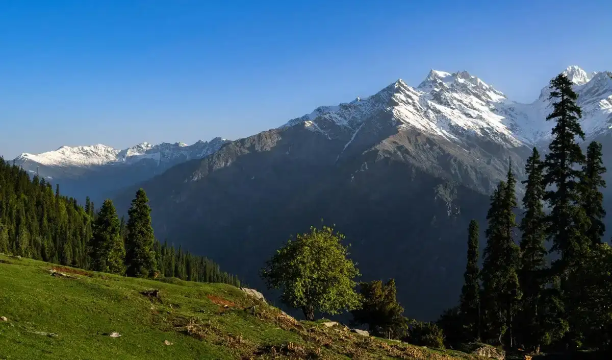गर्मियों की छुट्टियों की योजना