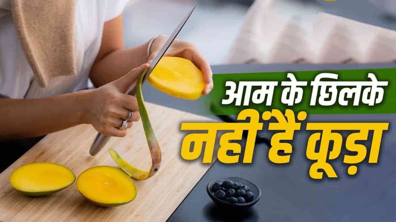 कूड़ा नहीं कोहिनूर हैं आम के छिलके! फेंकने की भूल करने से पहले जान लें त्वचा चमकाने से लेकर ऑर्गेनिक खाद बनाने के 5 स्मार्ट तरीके