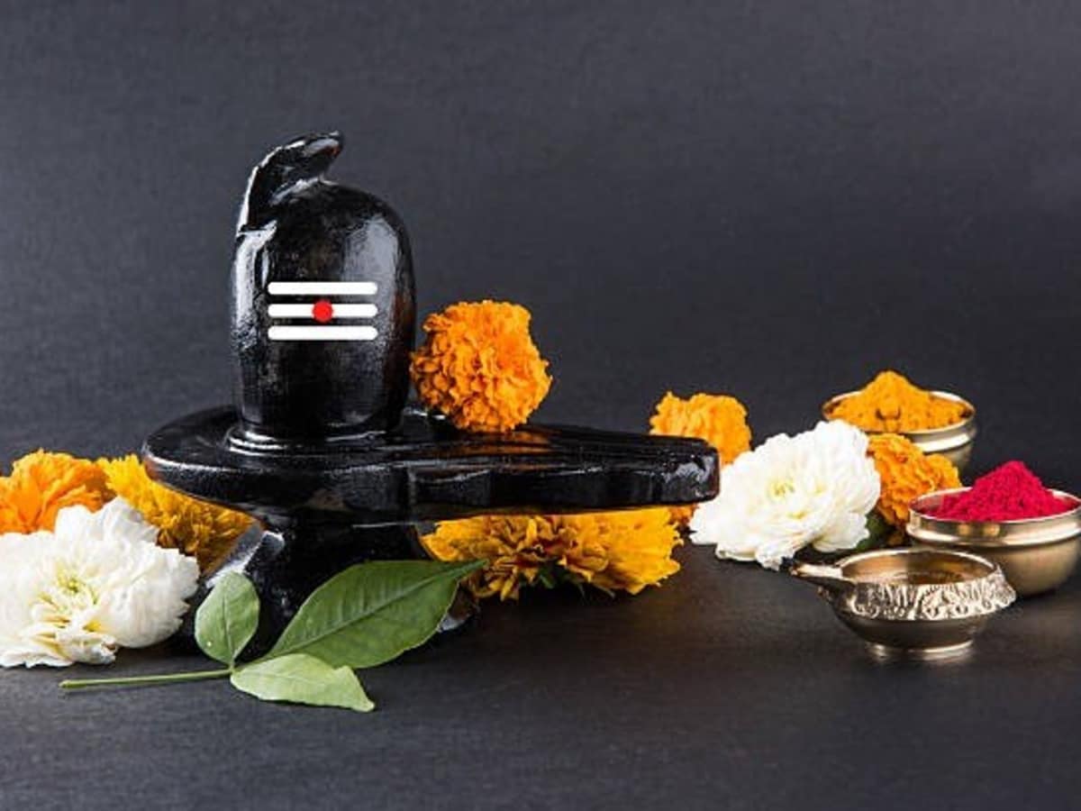 17 अगस्त को सावन सोमवार और नाग पंचमी का दुर्लभ महासंयोग, अचानक धन लाभ और कर्ज मुक्ति के लिए शिवलिंग पर जरूर चढ़ाएं ये 1 चमत्कारी चीज