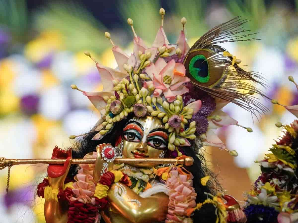 क्या आपके घर में भी हैं लड्डू गोपाल? जन्माष्टमी पर नवजात शिशु की तरह लाड़ लड़ाने और अष्टप्रहर सेवा का यह है सबसे सटीक शास्त्रोक्त तरीका