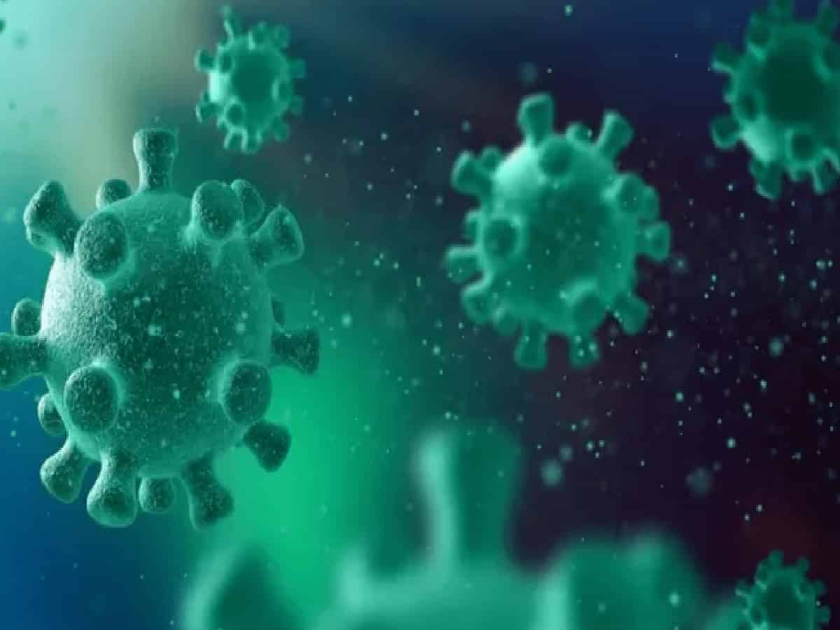 फ्रांस में मिला 'Shamonda Virus' का पहला इंसानी केस: संक्रमित मरीज की मौत के बाद WHO अलर्ट